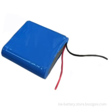 36V Lithium Ion Battery Pack